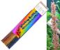 Preview: Shrimp-Lollies Himmelsbogen-Mix (11 pcs)